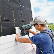 Best Siding Painting and Refinishing  in Forrest, IL